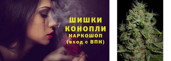 соль ск Алзамай