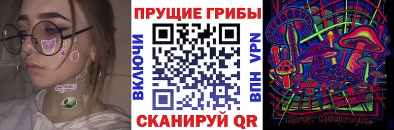 Галлюциногенные грибы MAGIC MUSHROOMS  закладки  Приозерск 